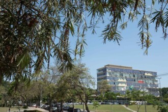 Uma visão externa de um edifício de vidro e concreto de vários andares se estende horizontalmente sob um céu azul claro. No térreo e ao lado do prédio, há uma área de estacionamento com vários carros estacionados. Em primeiro plano, galhos de uma árvore com folhagem verde escura e alguns detalhes em vermelho pendem do topo da imagem. Na parte inferior da imagem, há um gramado verde com algumas árvores e um caminho.