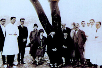 A imagem em preto e branco mostra um grupo de pessoas em um ambiente externo, sob uma grande árvore escura. No centro, duas mulheres estão sentadas no chão, com trajes escuros e chapéus. Uma delas tem as mãos cruzadas no colo. Ao redor delas, outros homens estão em pé, alguns vestindo jalecos brancos e outros ternos escuros. Entre os indivíduos à esquerda, um homem com bigode e gravata borboleta é visível. A iluminação é difusa, e o chão parece ser de terra batida ou grama rala.