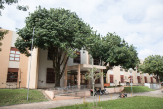 A imagem mostra um edifício de vários andares, com fachada de vidro e concreto, sob um céu azul claro. A arquitetura do prédio é moderna e se destaca no centro do quadro. Em primeiro plano, galhos com folhas longas e pendentes se estendem do topo da imagem. Há uma rua ao lado do prédio com carros estacionados, e uma área de gramado verde.