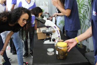 A imagem mostra um grupo de pessoas em volta de uma mesa de laboratório. Em primeiro plano, uma mulher com cabelos escuros e cacheados, de óculos, está abaixada e olha atentamente para a mesa. A mesa, que está coberta por um pano preto, tem um microscópio branco e vários potes de vidro com amostras de cor marrom, possivelmente plantas. Um homem, vestido com uma camisa polo azul, estende a mão direita em direção a um dos potes de vidro. Outras pessoas estão atrás da mesa e ao redor, interagindo com o material, e uma delas está usando o microscópio. O ambiente é iluminado pela luz do sol e tem paredes de cor clara e plantas em vasos.