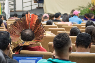 A imagem mostra a visão das costas de uma plateia em um auditório. A maioria das pessoas está sentada em cadeiras estofadas de cor clara, e as cadeiras se estendem em fileiras em direção ao fundo do ambiente. Em primeiro plano, no centro, uma pessoa está sentada com um cocar grande e marrom, feito de penas ou palha de formato triangular. Outras pessoas, de cabelos escuros e roupas coloridas, estão ao redor. Uma pessoa no canto inferior esquerdo está usando um laptop. No fundo, cortinas e algumas plantas são visíveis. A iluminação é difusa e o ambiente está um pouco escuro.