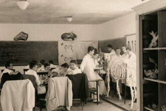 A imagem em preto e branco mostra uma sala de aula de um laboratório com um grupo de aproximadamente dez homens em jalecos brancos. Eles estão em volta de mesas e cadeiras de madeira, com alguns examinando um esqueleto de cavalo que está montado em uma estrutura de madeira. No fundo da sala, há um quadro-negro com desenhos e textos escritos. Em um armário de madeira escuro, à direita, há crânios e ossos em prateleiras. Duas luminárias redondas e uma lâmpada pendurada estão no teto, e a iluminação geral é uniforme.