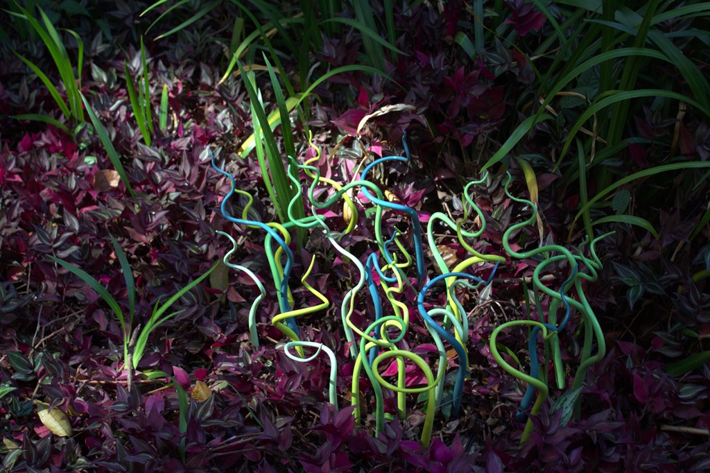 A imagem é um close-up de uma instalação artística em meio à vegetação. No centro, emergem várias hastes finas e sinuosas em tons vibrantes de verde-limão, azul e amarelo, algumas retas, outras em espiral ou curvadas. O fundo e o primeiro plano são preenchidos por plantas. No chão, há uma densa camada de folhagem com folhas pequenas em tons de roxo escuro e vinho. Entre elas, algumas folhas longas e verdes mais claras se destacam verticalmente. A iluminação cria um contraste entre as cores vibrantes das hastes e as tonalidades mais escuras da folhagem, com focos de luz solar em algumas partes.