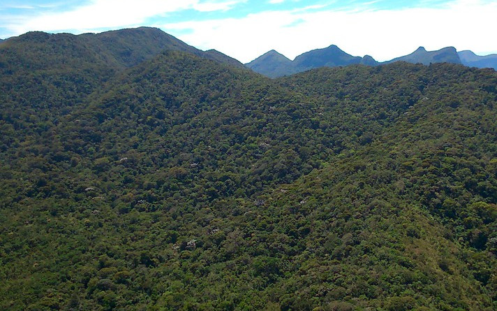 Parque Estadual da Serra do Brigadeiro, na Zona da Mata de Minas Gerais